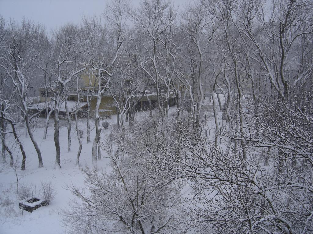 Central Park Family Hotel Kavarna Exterior foto